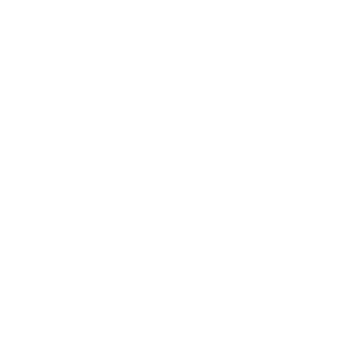 Holistic Development Approach